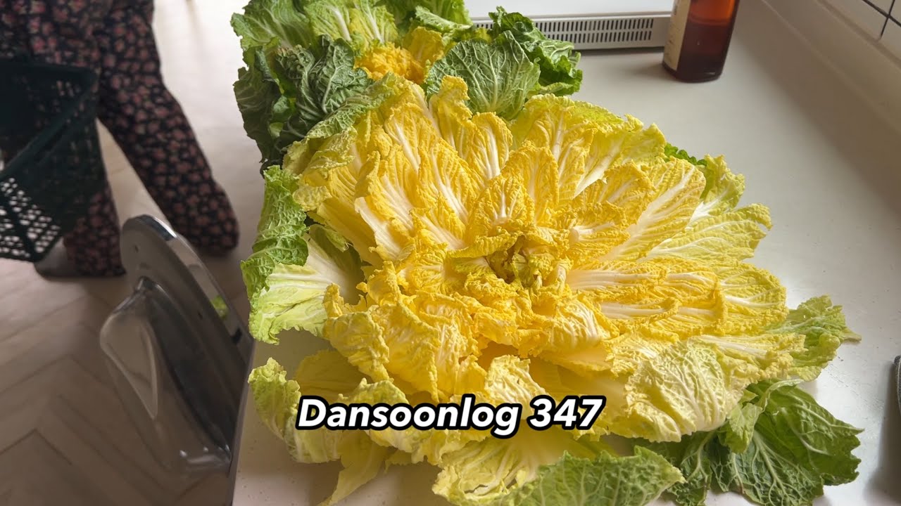 Dansoonlog 347 Весна пришла и на деревенский стол в Корее🌱