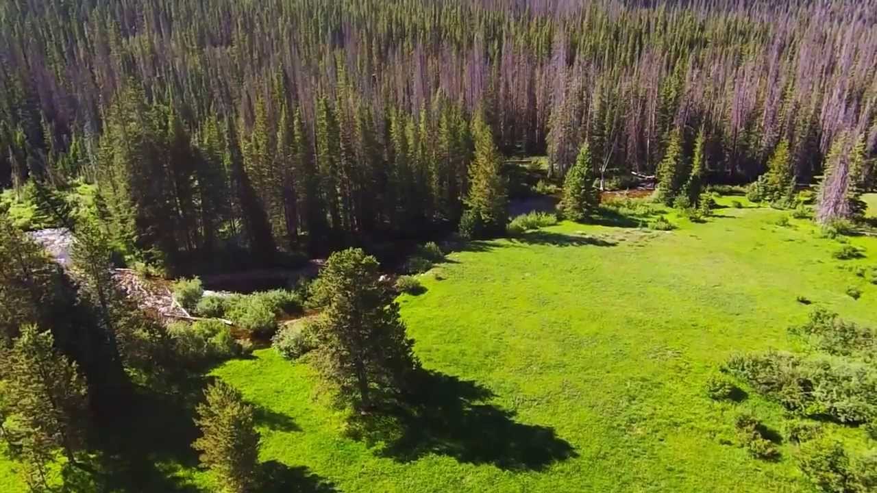 French Creek Canyon, Snowy Range Wyoming