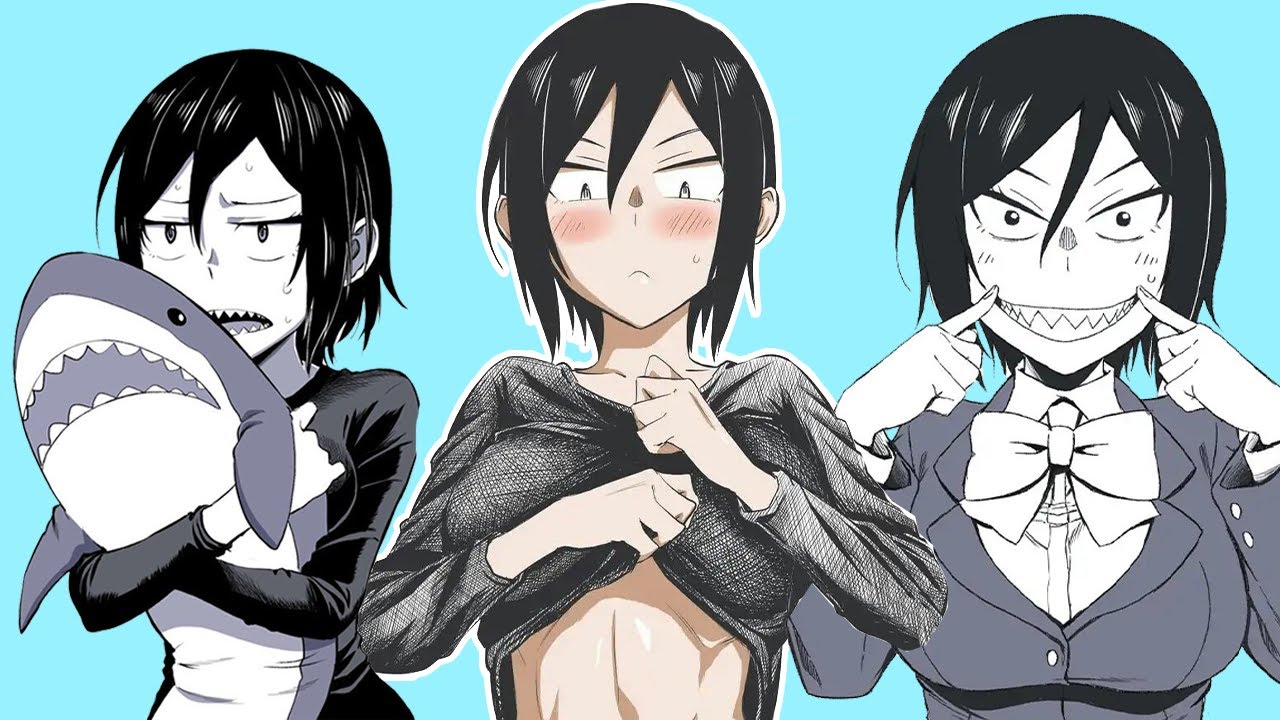 The Shark Toothed Waifu You Never Knew You Needed ((Hitomi-chan is Shy With Strangers))