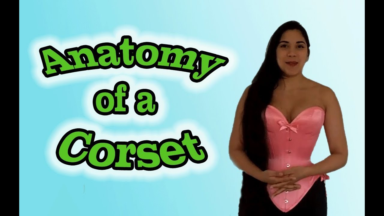 Corset Anatomy (parts and terminology) | Lucy's Corsetry