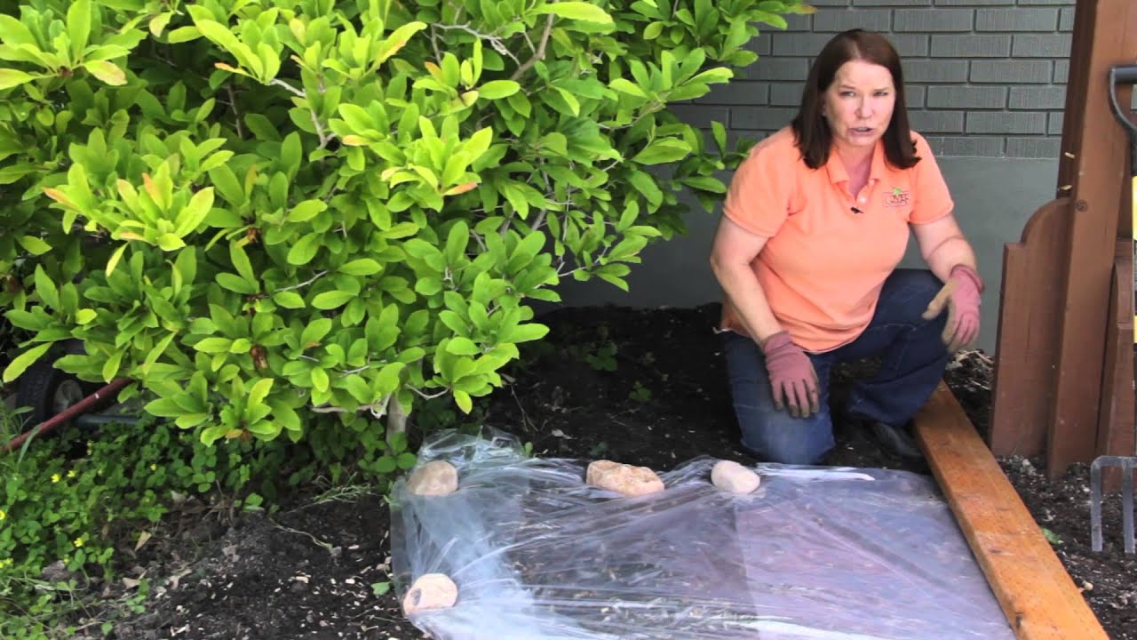 How to Sterilize Soil in the Garden : Grow Guru