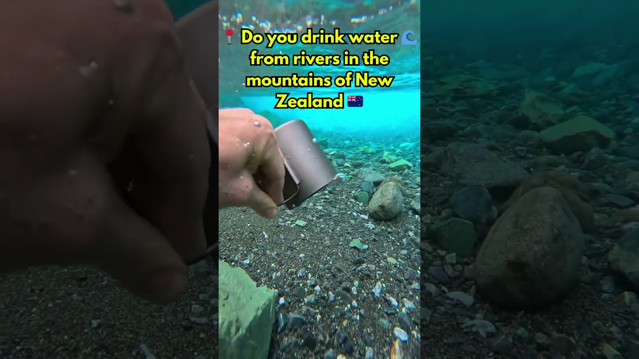 The Most Crystal Clear Waters in New Zealand ✈️ 🌍