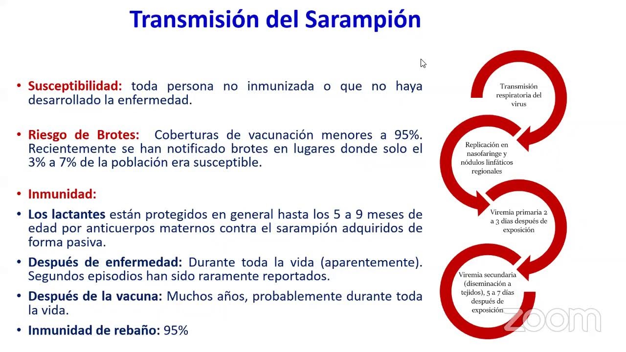 VIRTUAL 2 DMUNI ¿Como controlar y eliminar el sarampión, la rubeola y paperas?