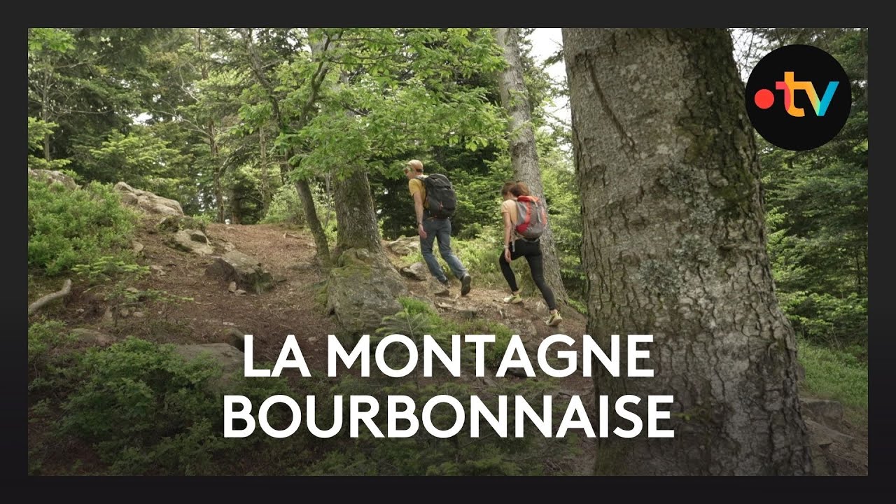 Randonnée en Montagne Bourbonnaise : un trésor caché de l’Allier