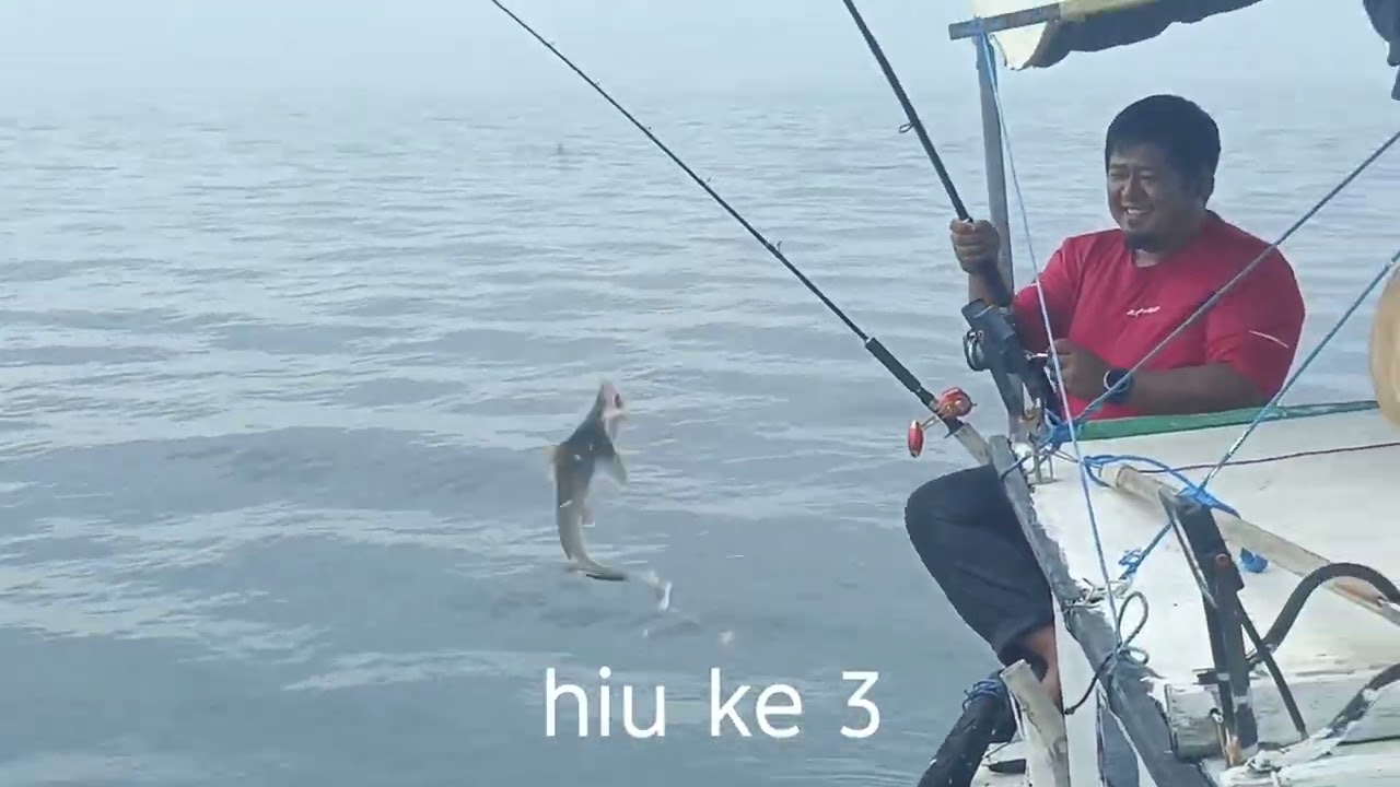 Hampir Boncos Karna Arus Laut Tenang. Ikan Tengiri 13 kg