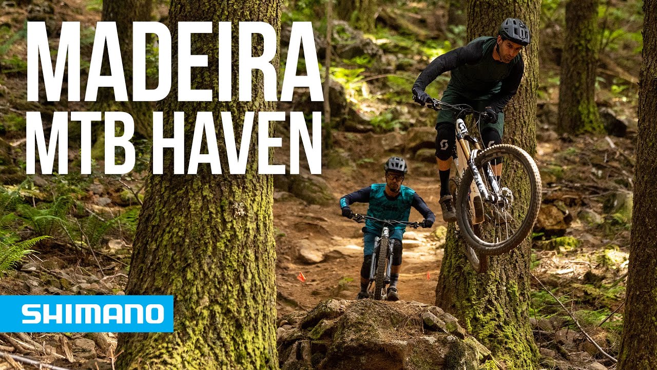 Build It And They Will Come | SHIMANO
