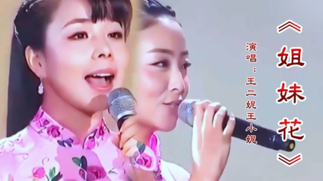 王二妮王小妮合唱《姐妹花》欢快婉转旋律甜美醉人歌声令人感动
