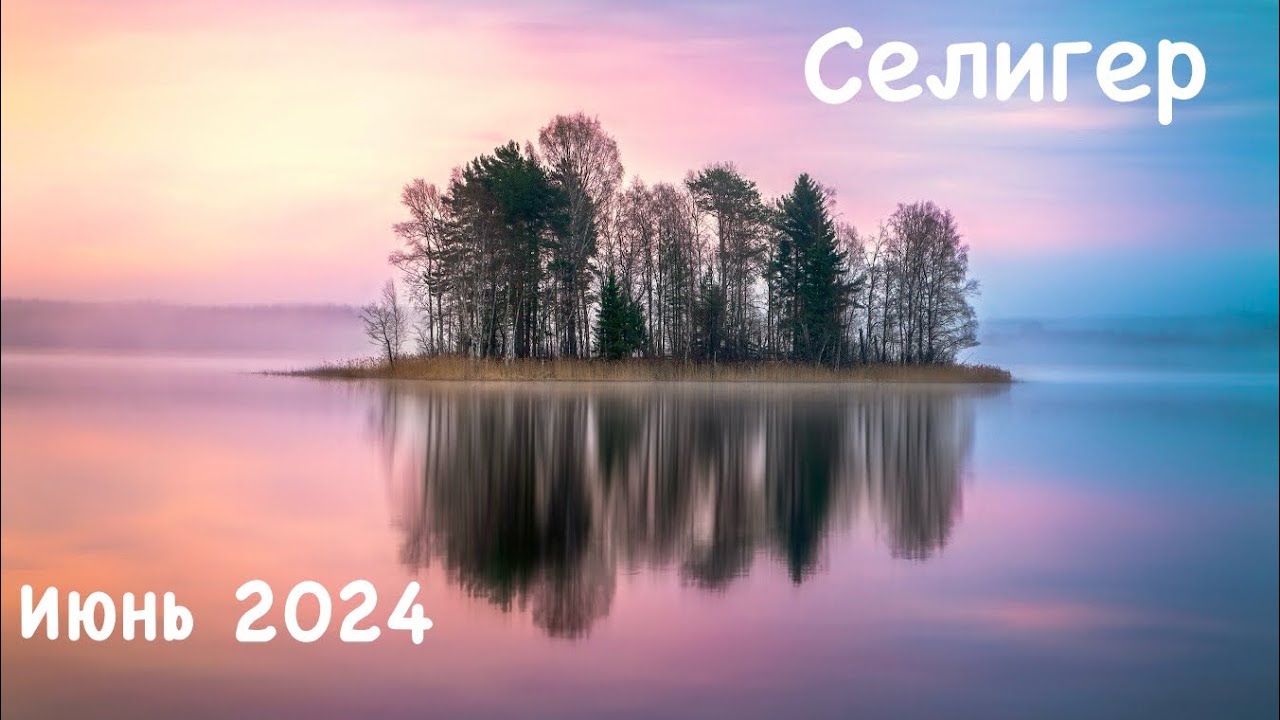 Селигер / Июнь 2024 / Неприе