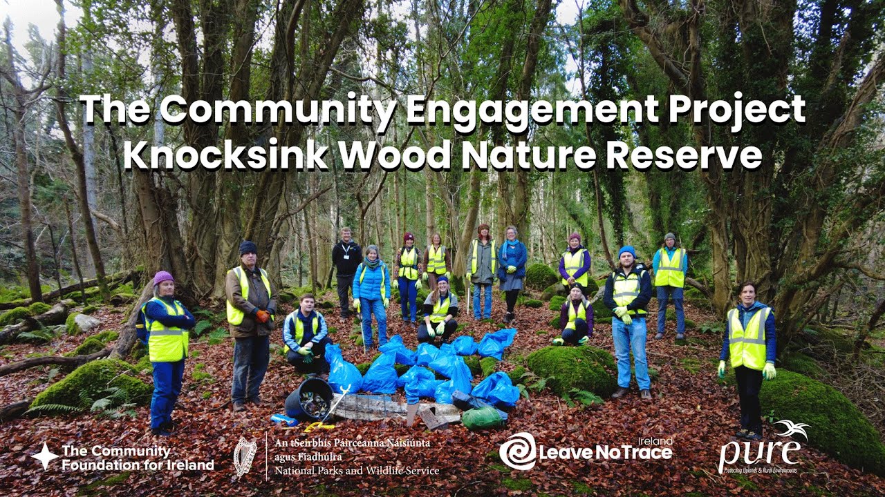 The Community Engagement Project: Knocksink Wood Nature Reserve