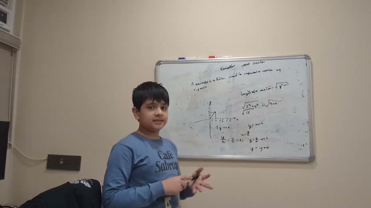 Variables and Vectors 