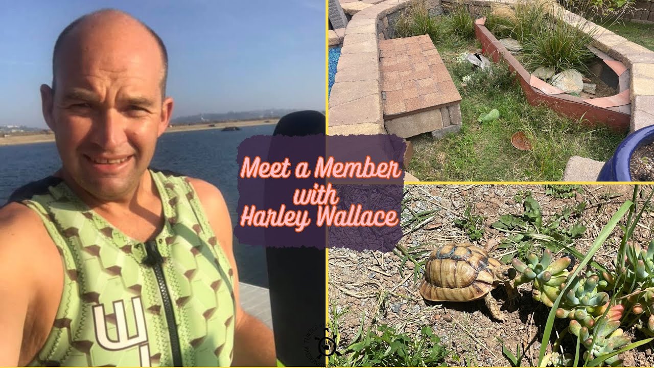 Meet a member - An evening with Harley Wallace