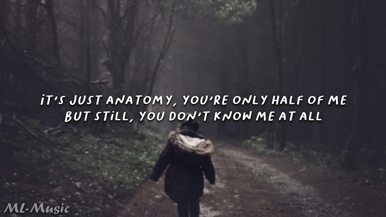 kenzie - anatomy [LYRICS]