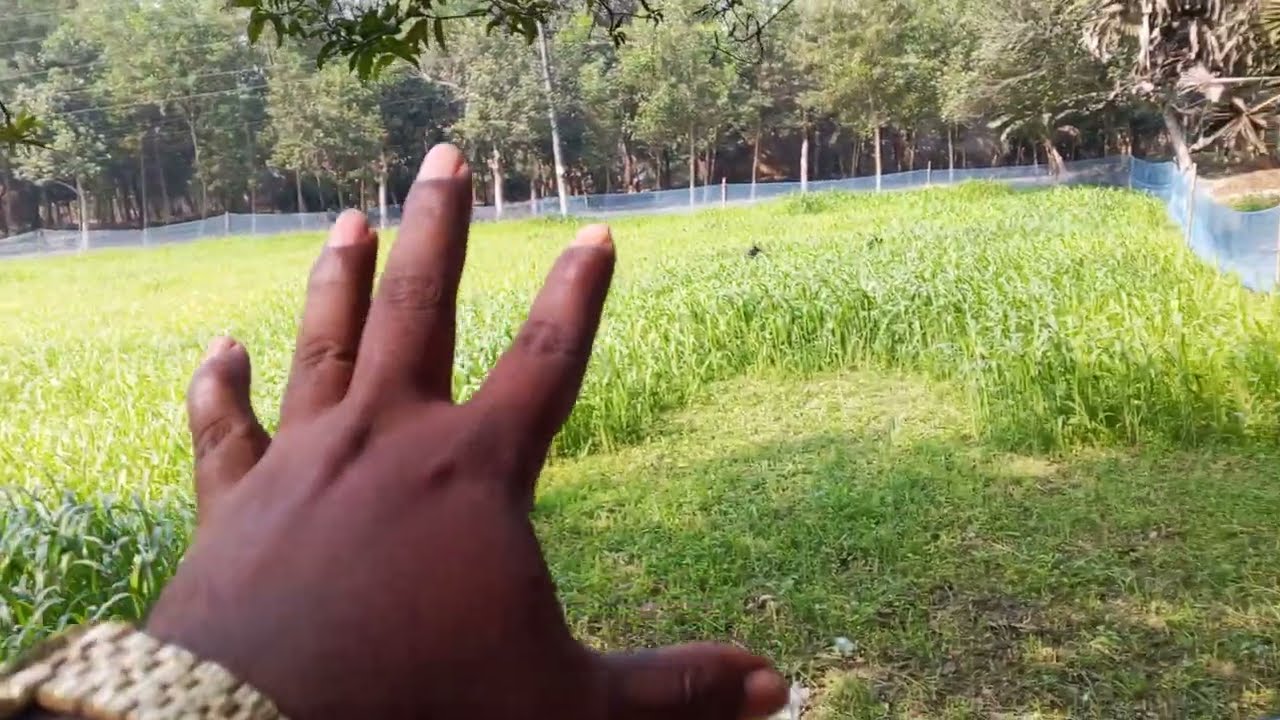 গাজীপুরে জমির দাম অনেক কম। অল্প দামের জমি নিয়ে নেন এখনি কাগজপত্র আপটুডেড করা আছে 