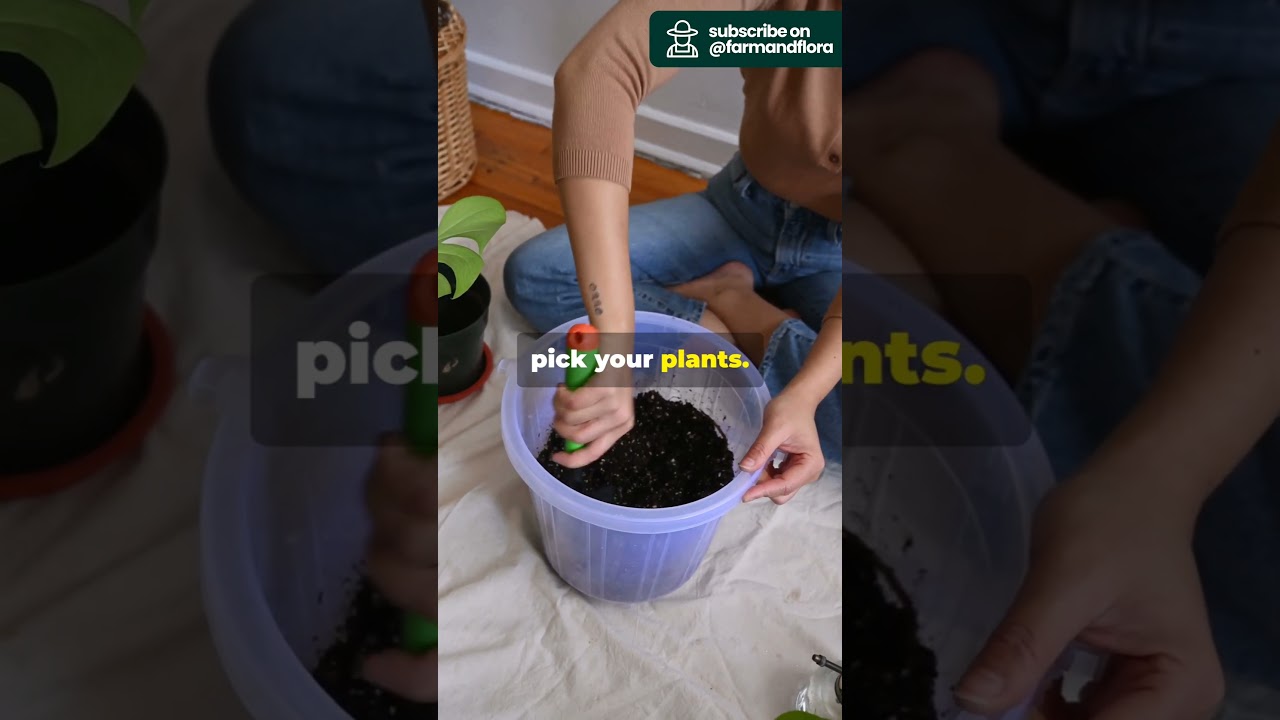 Urban Gardening 101: How to Start Your Own Green Space! #farming #urbangardening