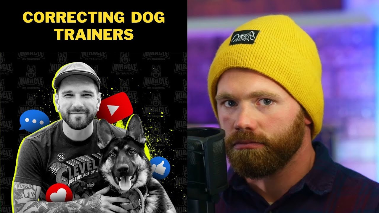 Correcting Dog Trainers: The incorrect way to introduce a prog collar; by Miracle K9