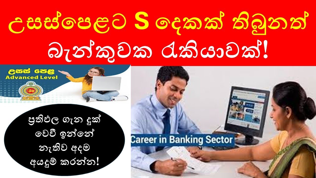 Latest Banking Jobs for A/L Students in Sri Lanka 2025 | No Experience Needed | Apply Now!