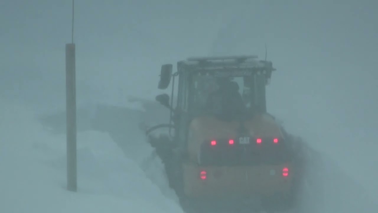 Brøyting Hauge Maskin i Fidjeland Fjellgrend Cat 906