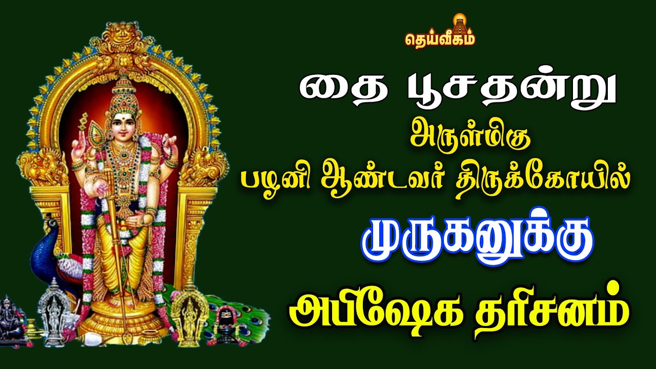 🔴LIVE :  தை பூசதன்று பழனி ஆண்டவர் அபிஷேக தரிசனம் #dheiveegamtv #palanimuruga