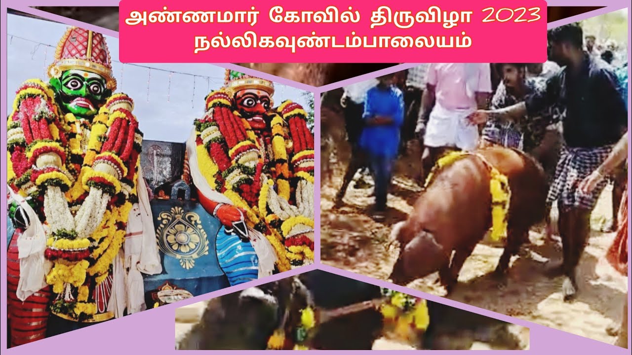 அண்ணமார் கோவில் திருவிழா 2023 | நல்லிகவுண்டம்பாளையம்