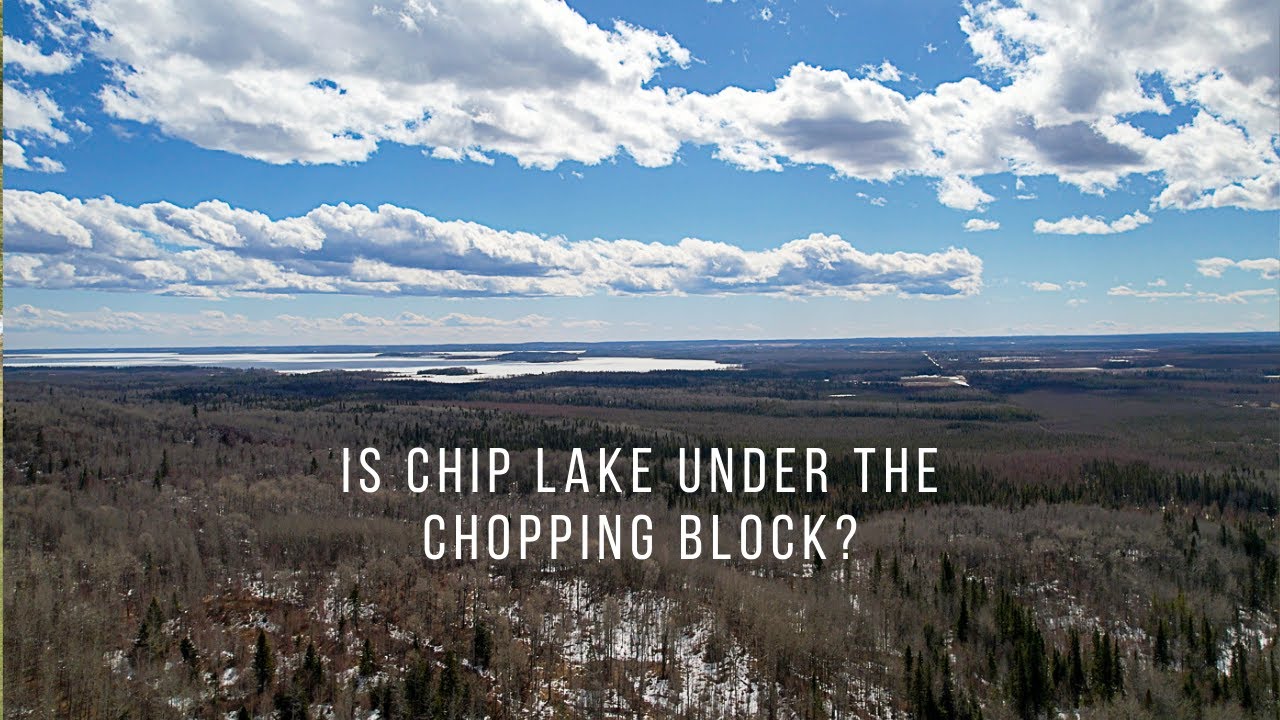Chip Lake - To Be Clear Cut?