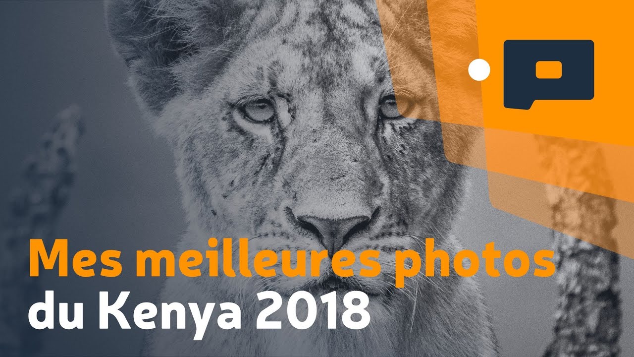 📷Mes meilleures photos - Kenya 2018 - 3/4