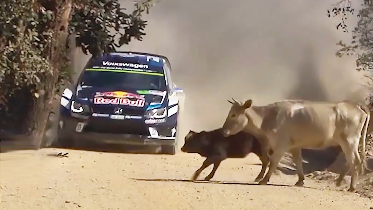 20 FUNNIEST RALLY MOMENTS