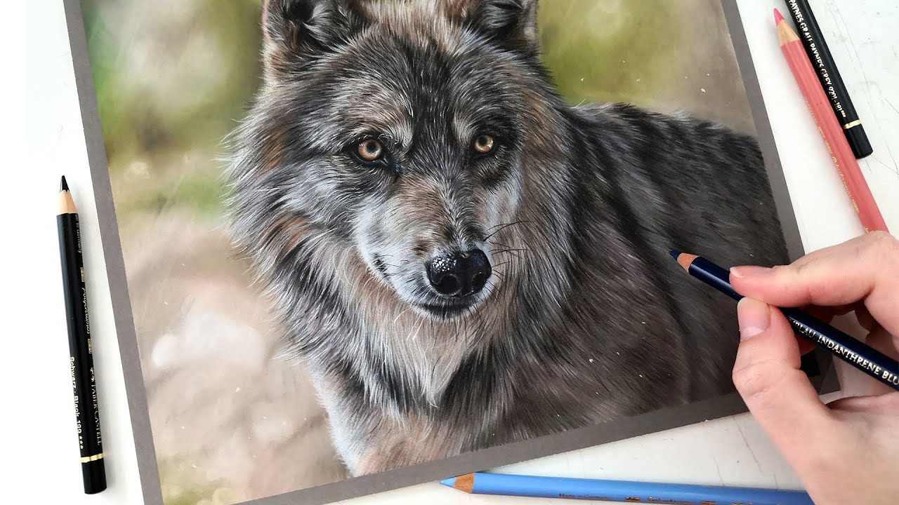 How to combine Colored pencil and Pastel pencil on Pastelmat | Real time