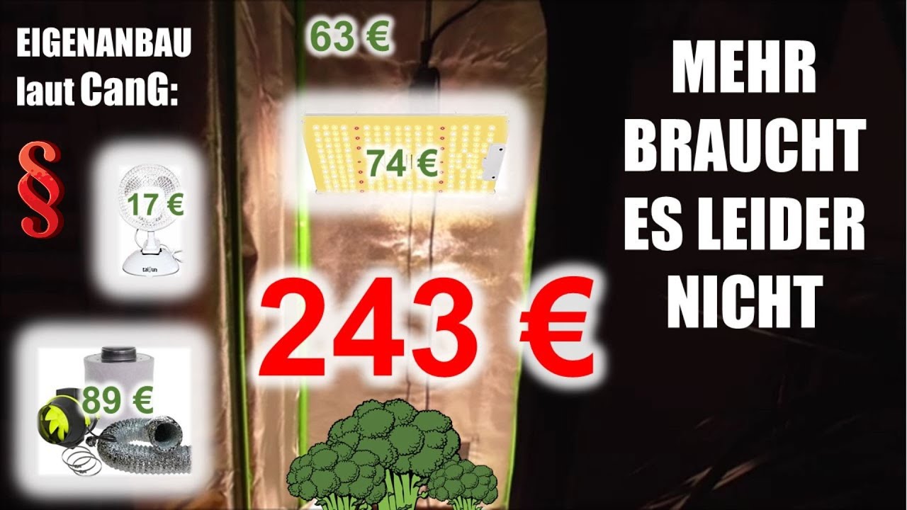 Das 3 Pflanzen Growbox Komplettset f&uuml;r 243 &euro; 🥦 | Eigenanbau CanG (25 Gramm Version) | Legalisierung