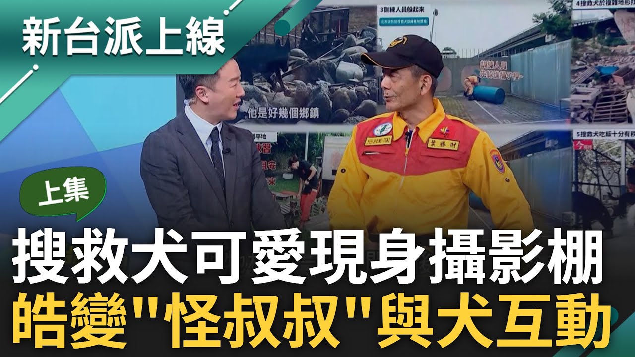 搜救犬現身攝影棚示範救援! 台灣搜救犬登國際成台灣之光 前一秒發呆口令一來秒切換模式 李正皓嘗試下指令被忽略 秒遭虧:怪叔叔你哪位｜李正皓 主持｜【新台派上線 上集】20240408｜三立新聞台