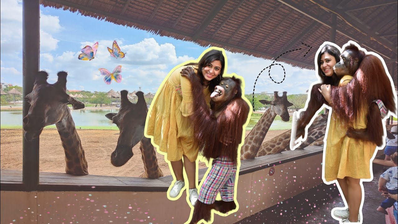 Safari World me Orangutan ne ye kya kia? 🫣| Bangkok | Thailand Vlog-3