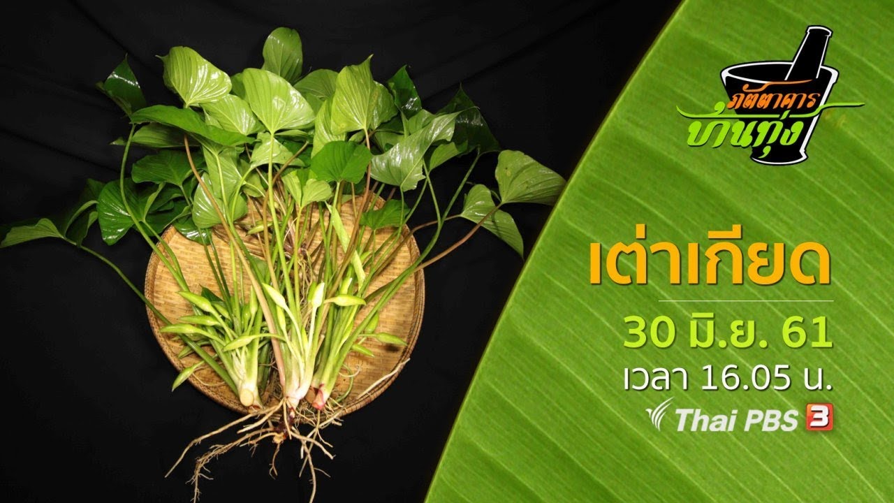 ภัตตาคารบ้านทุ่ง : เต่าเกียด  (30 มิ.ย. 61)