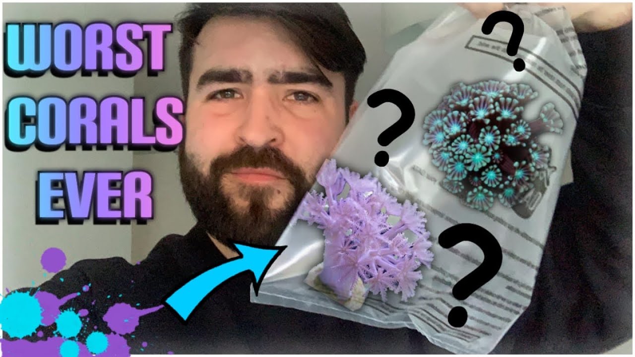 Are These Some Of The Worst Corals For Your Saltwater Aquarium? Nano/Pico Reef - Pulsing Xenia Care