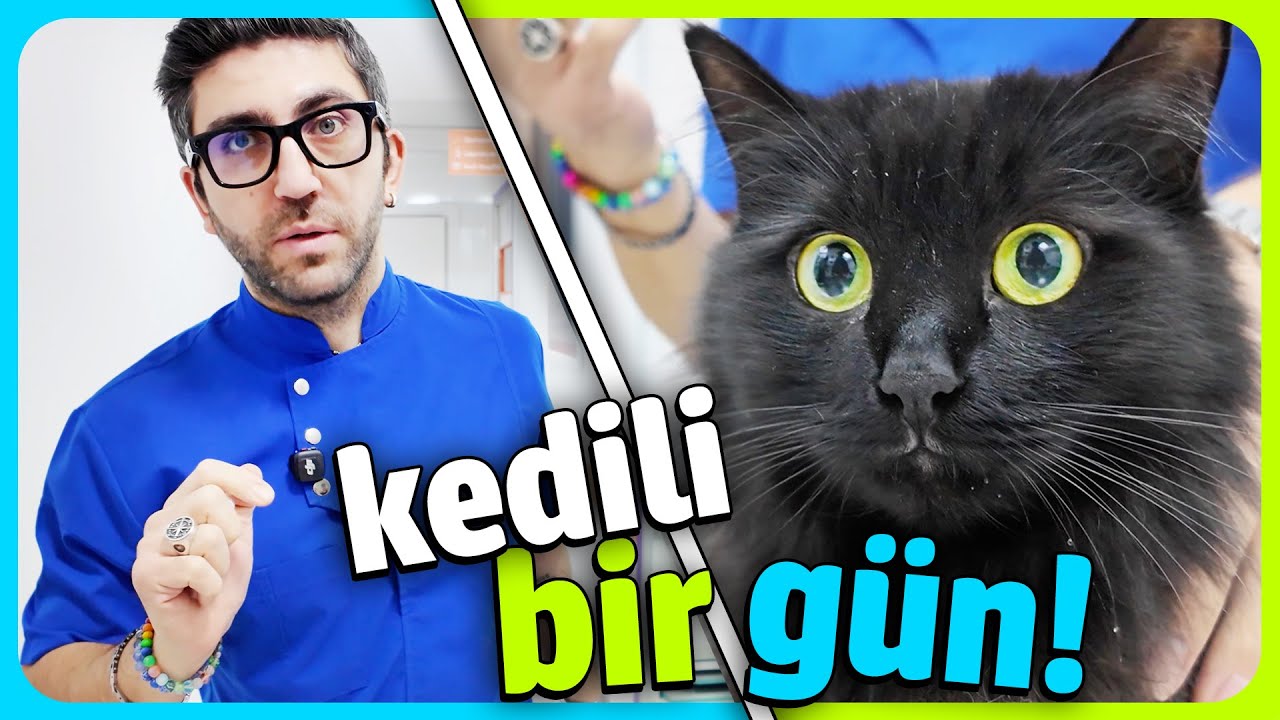KOŞ KOŞ VLOG GELDİ 🤪