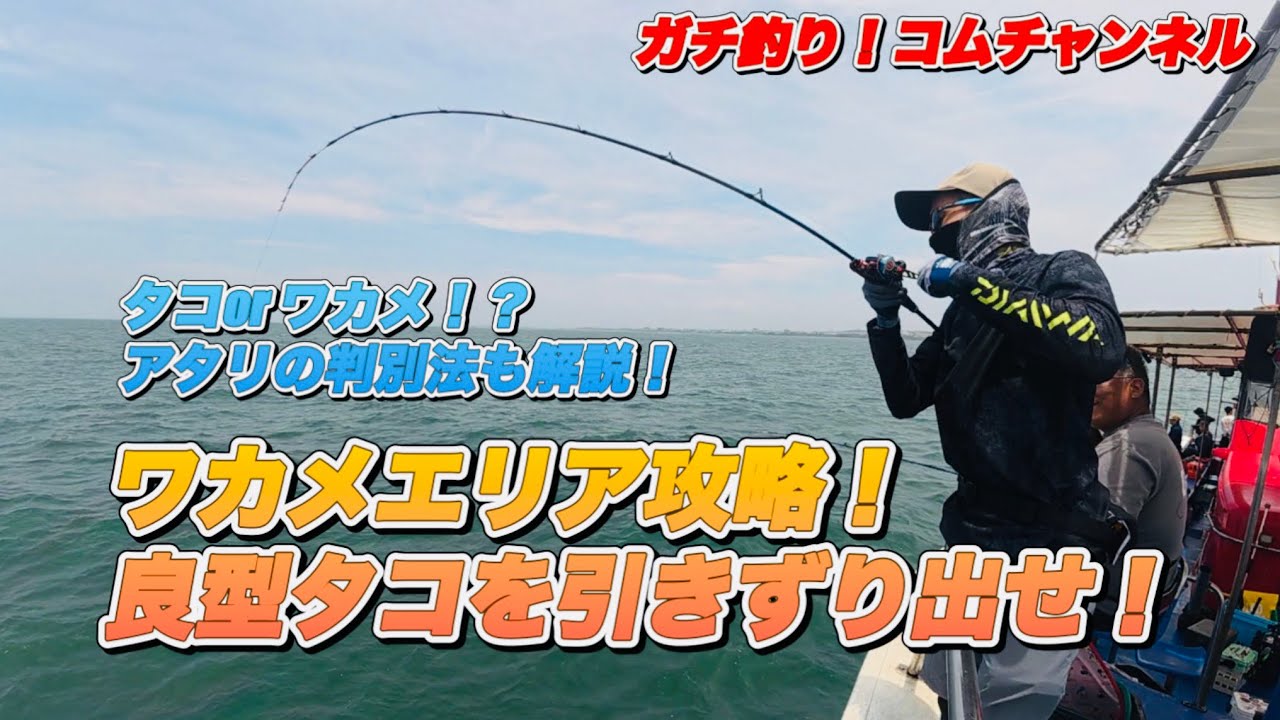 【明石船タコ】タコorワカメ！？アタリを判別してワカメエリアを攻略せよ！【どシャロー】