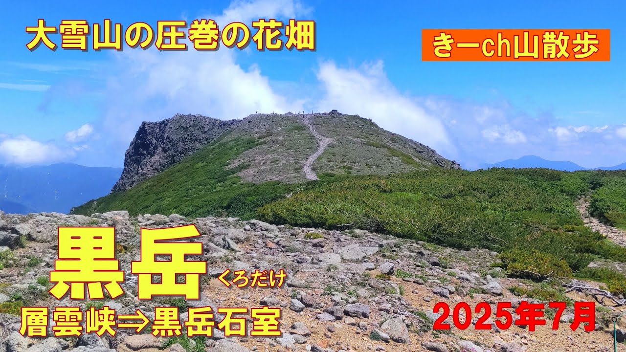 大雪山【黒岳】黒岳石室・満開のお花畑！2025年7月