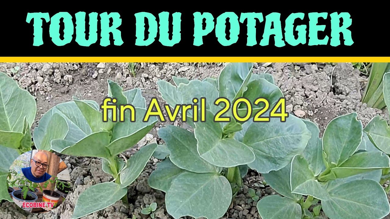 TOUR DE MON POTAGER  FIN AVRIL  2024