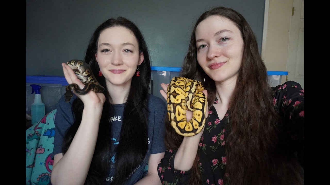 Trust in the Lord! Psalms Bible Study with Snakes ep. 25