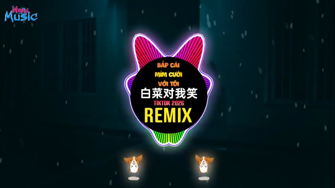 白菜对我笑 (超燃FUNK - DJ小西) Silly Wiggle - Sleeping City Funk || Bắp Cải Mỉm Cười Với Tôi (DJ抖音版)