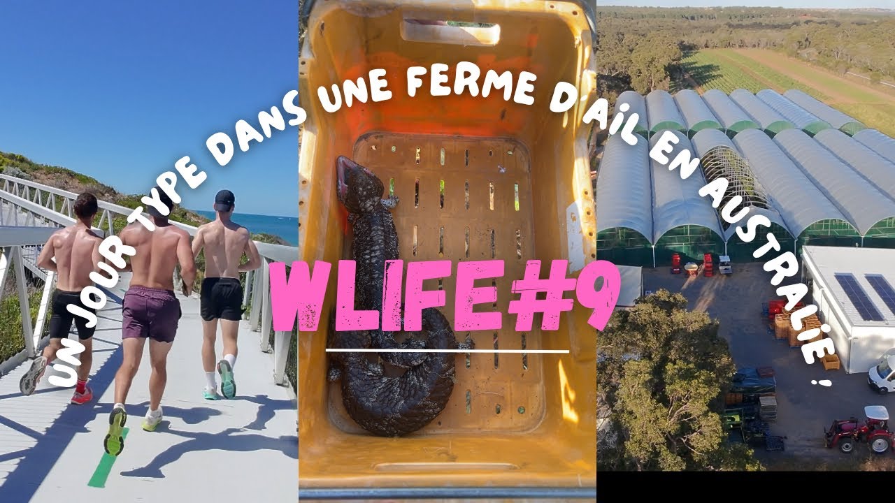 WLIFE#9 - Un jour type dans une ferme d’ail en Australie ! 🇳🇿🧄
