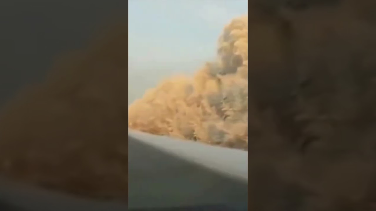 Destruction promised, destruction delivered 💥🦭#vehicledestruction #carcrash #accident  #dashcam