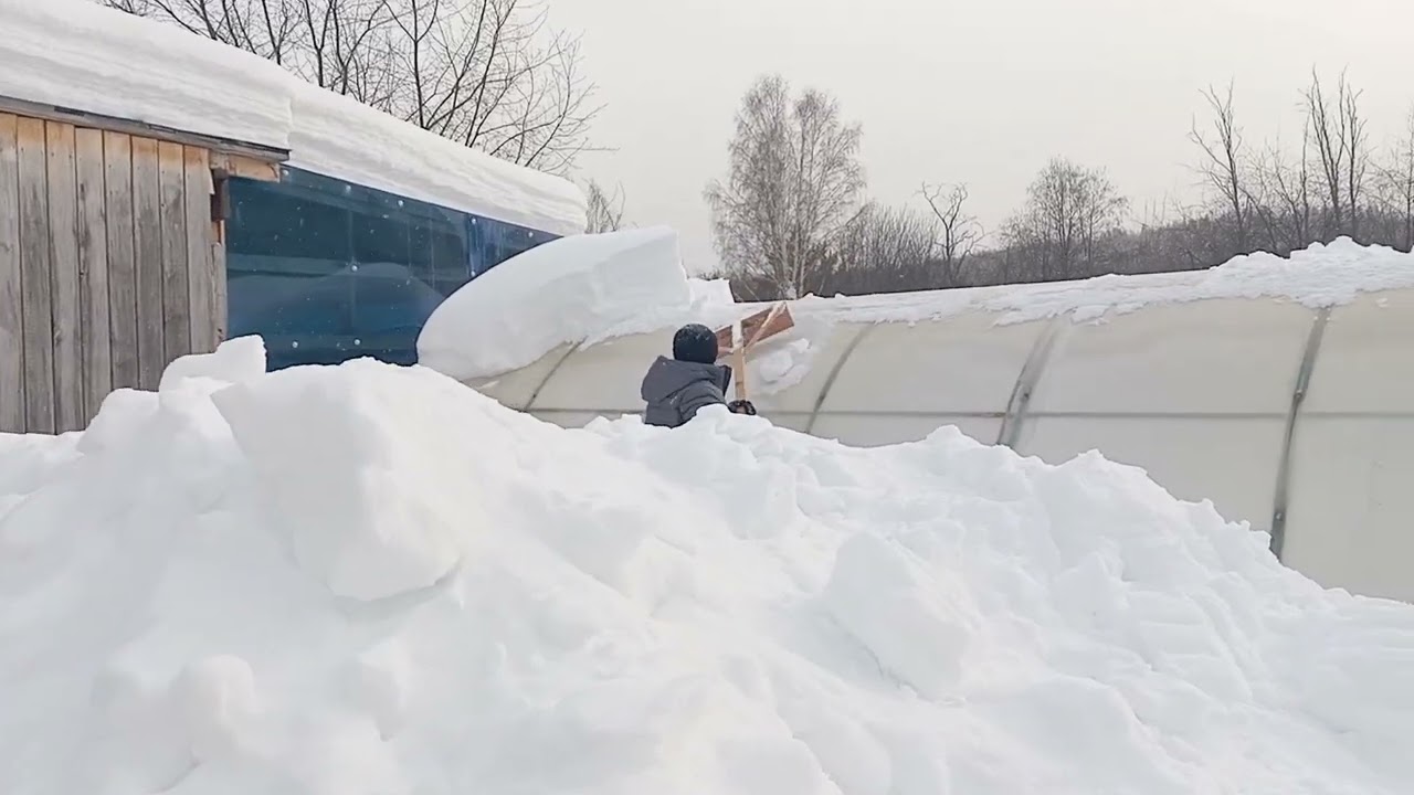 ЕДЕМ НА НА ДАЧУ/НЕ ОЖИДАЛА ТАКОГО БЕЗОБРАЗИЯ 🫣13.02.26г