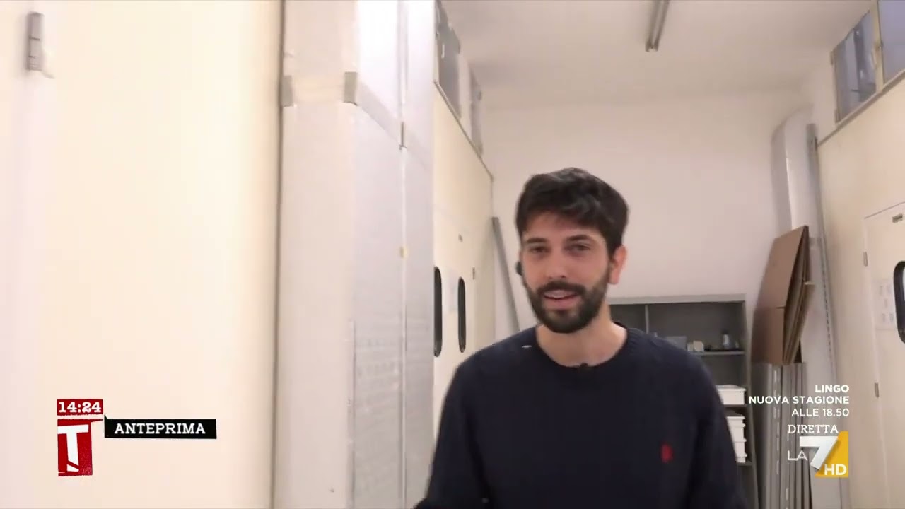 Macerata: dentro l&rsquo;azienda che alleva grilli: &ldquo;Cibo italiano&rdquo;