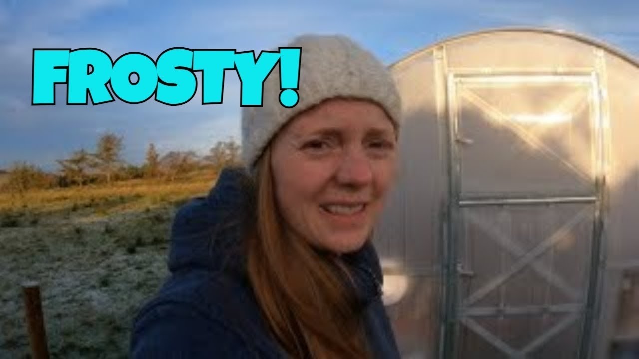 Winter Greenhouse Update: Surviving the Irish Cold