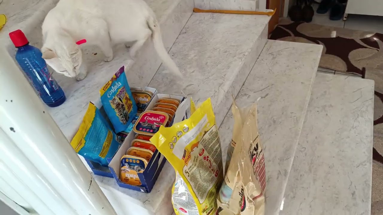 ГОЛОДНЫЙ ПРИШЕЛ