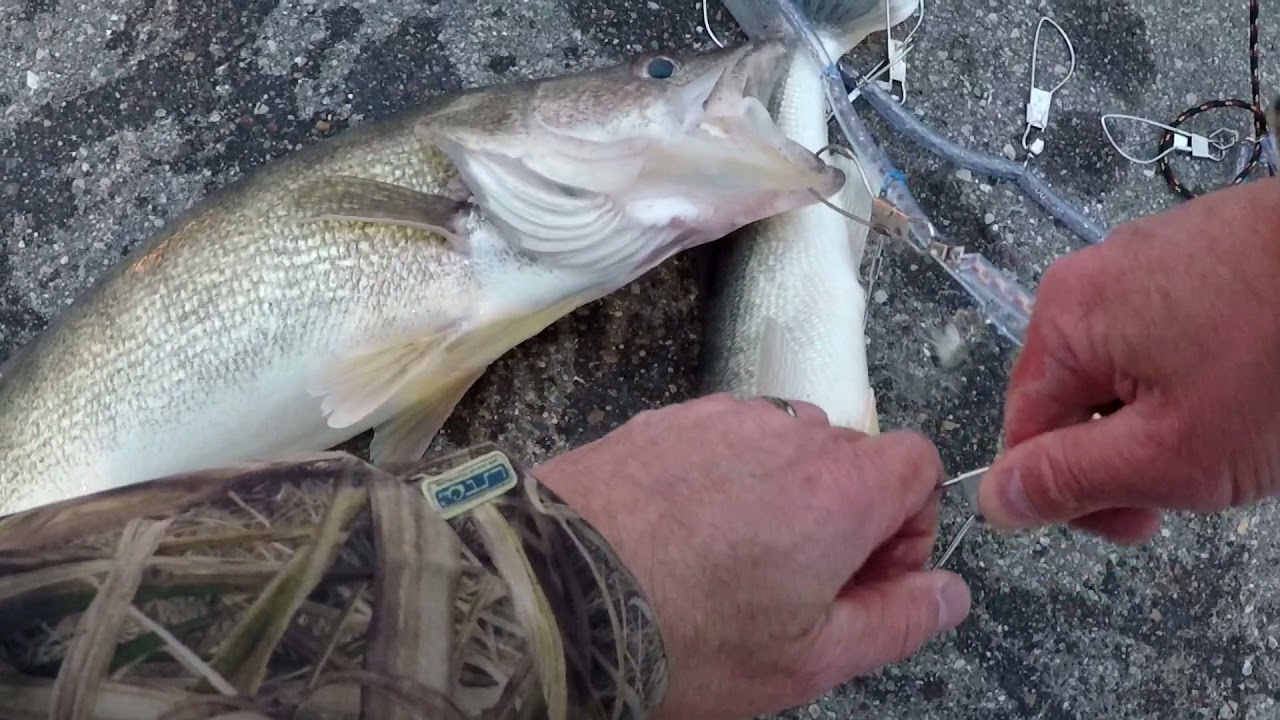 Walleye shore jigging on the Detroit River