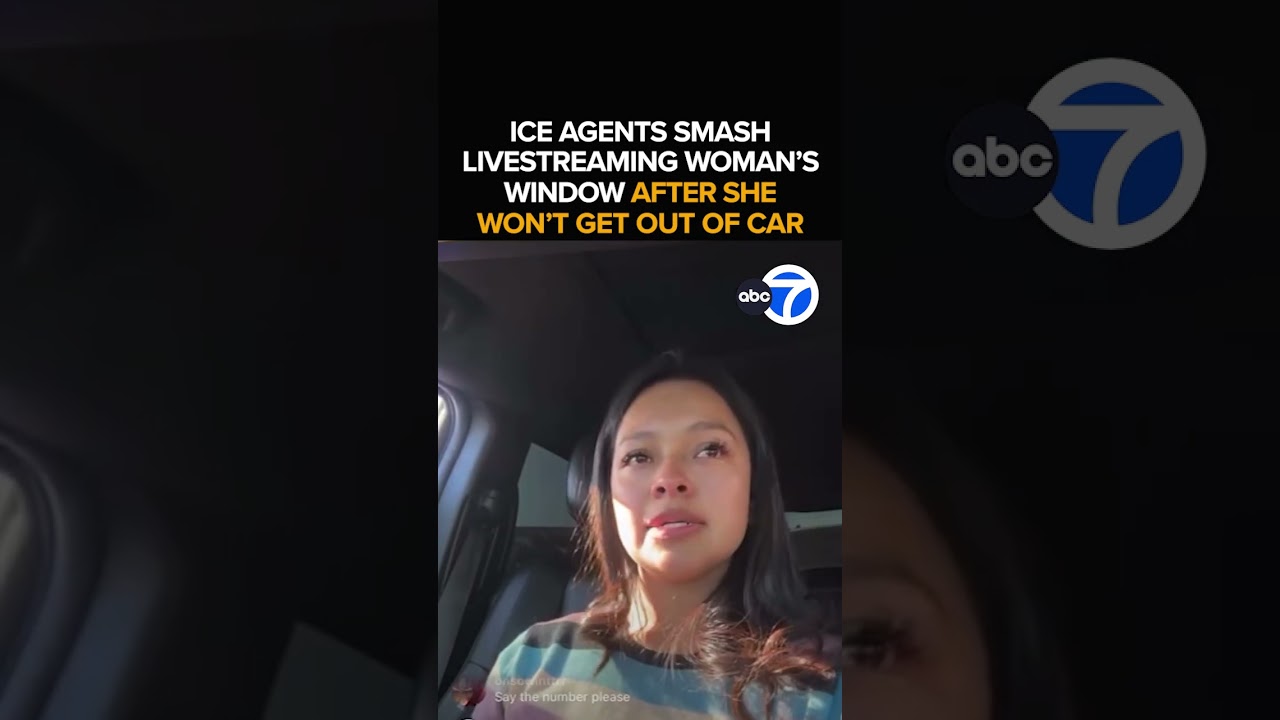 Woman streams ICE detainment as agents smash car window: 'Lord, please protect me'