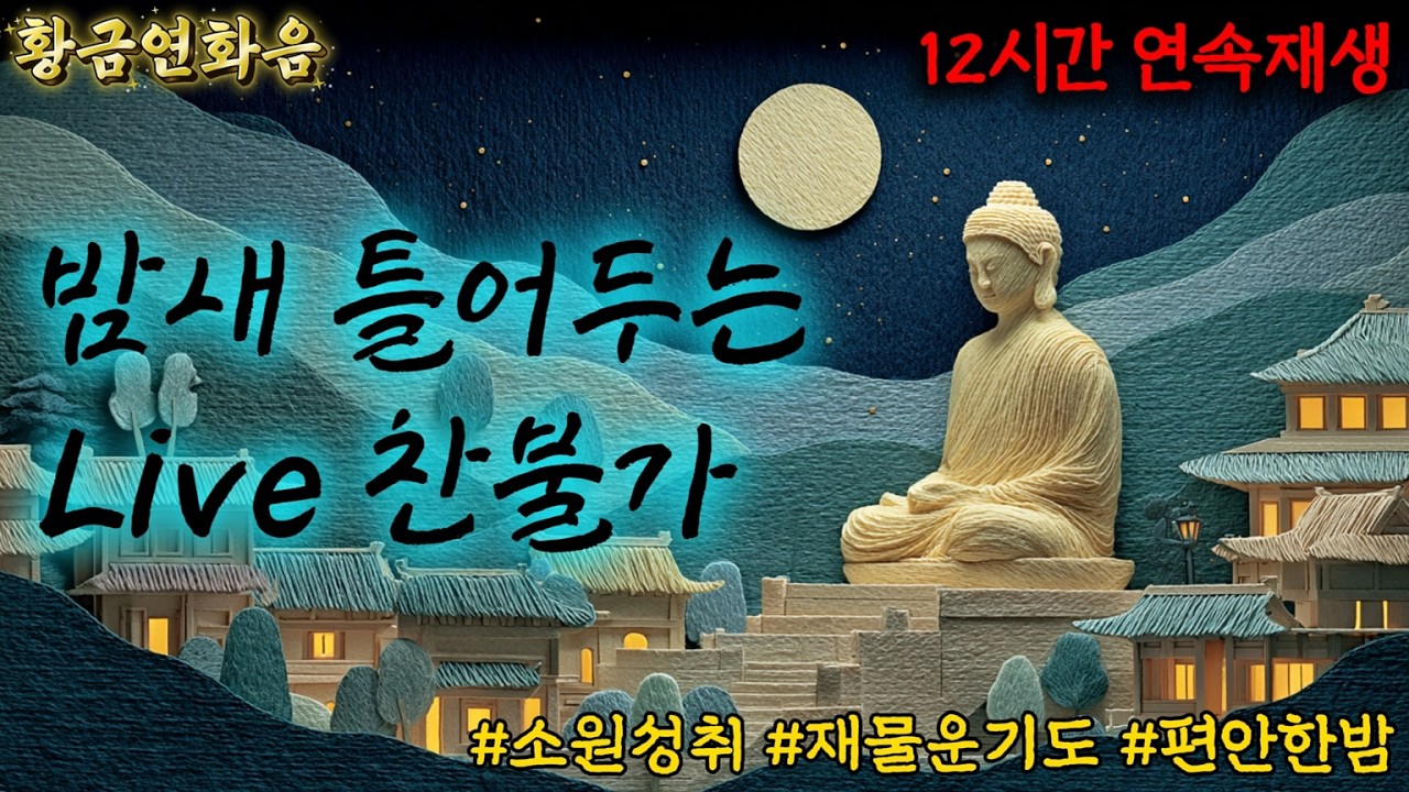 밤 깊어갈수록 마음을 고요히 돌보는 차분한 야간 라이브 #심야라이브 #고요한밤시간 #편안한명상