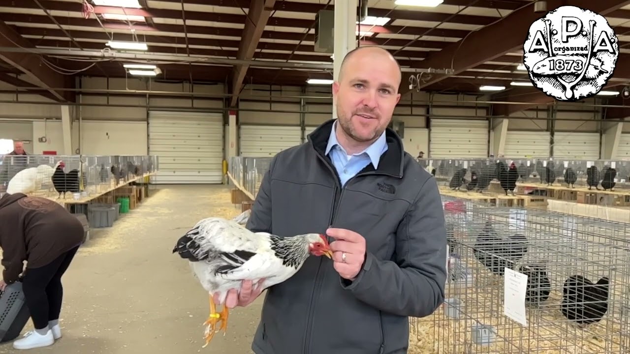 Jonathan Patterson on the difference between Stubbs and Side Sprigs in Poultry