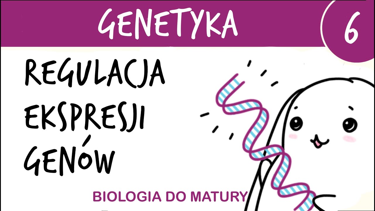 Genetyka 6🧬 Regulacja ekspresji genów u eukariontów - matura z biologii rozszerzona liceum