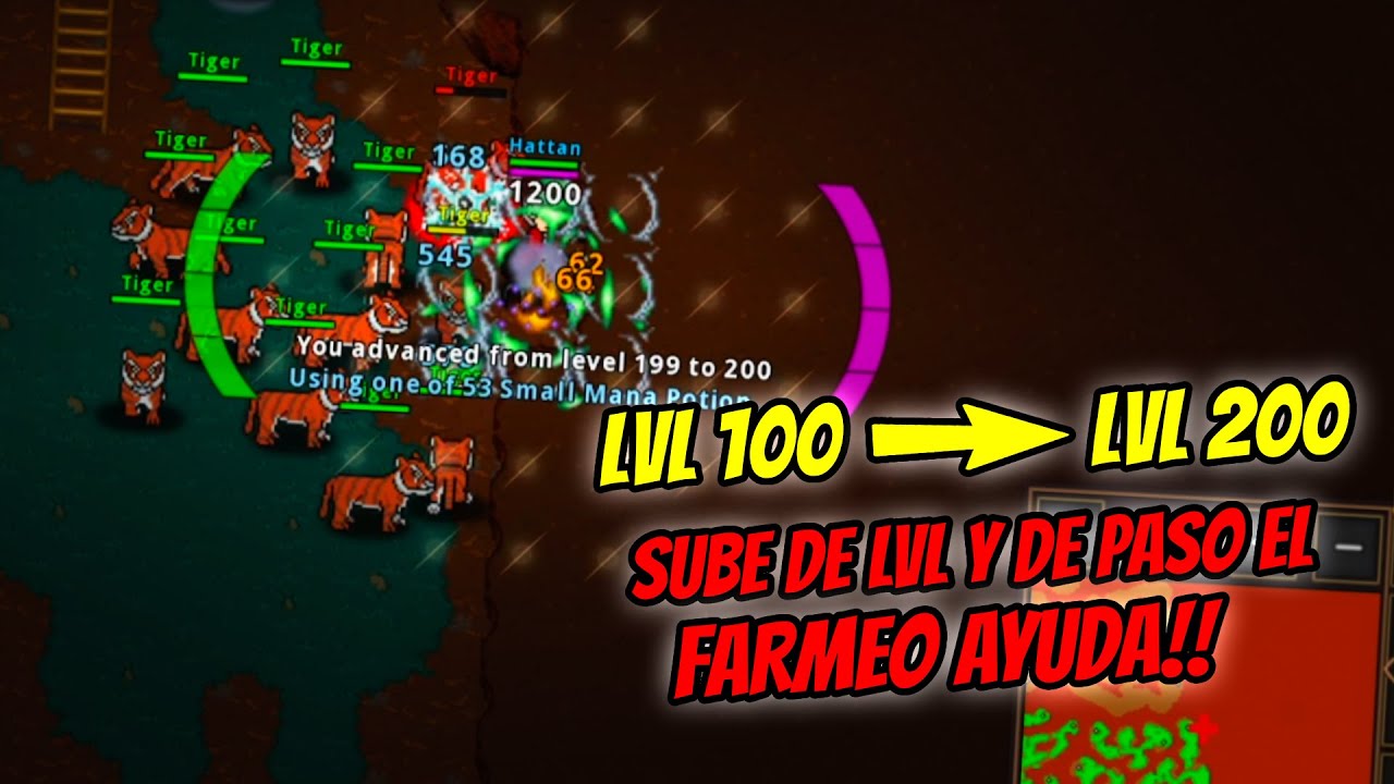 CON ESTO LE SACAS PROVECHO MIENTRAS SUBES A LVL +200 | LAWLMMORPG